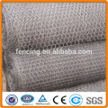 Anping maille hexagonale / Lowes Chicken Wire Mesh Roll à vendre